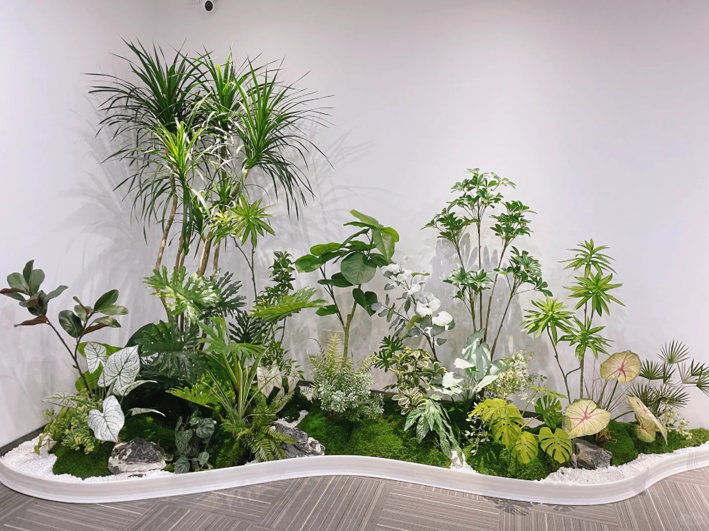 余姚植物租赁公司，绿植装扮办公环境的秘密武器